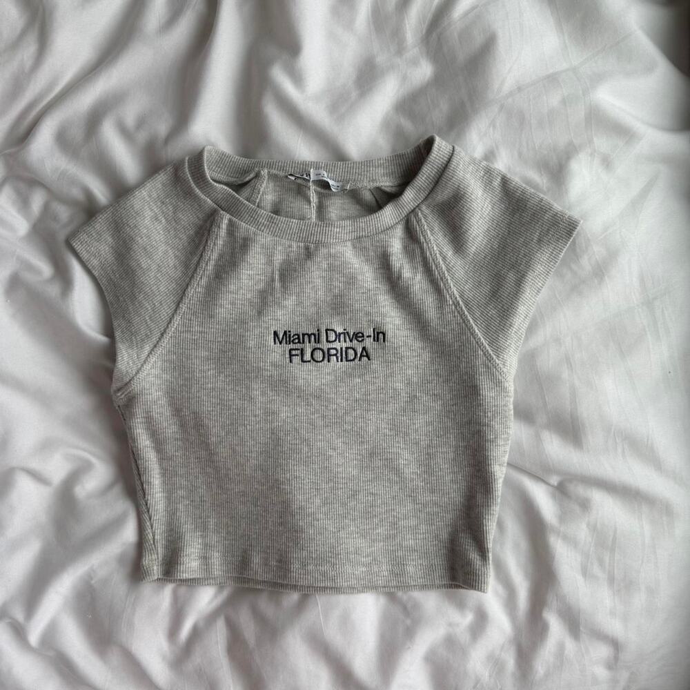 Zara Grey Crop Top Tee Baby Tee